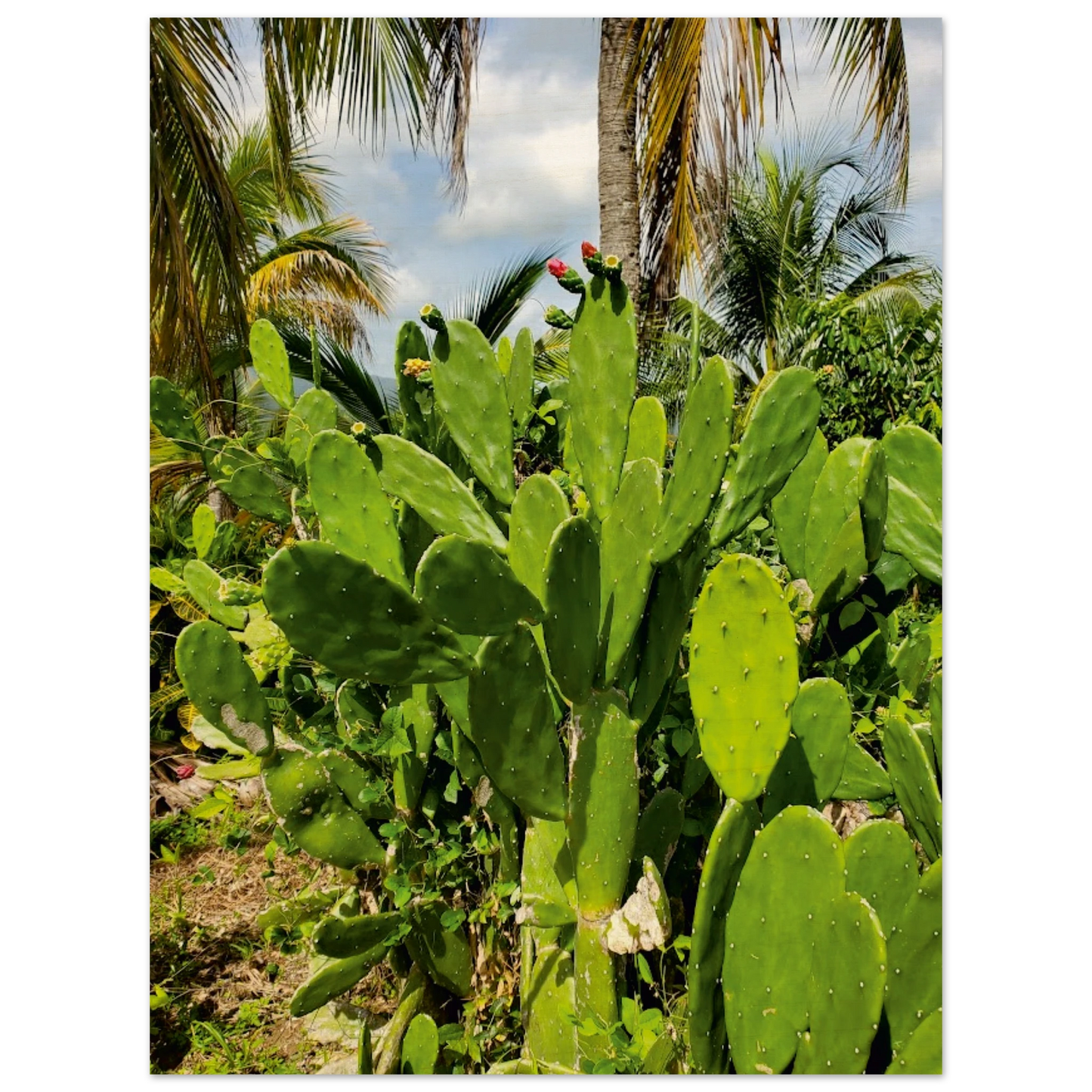 b7913b90-7195-40fa-ab8c-b2985ab3e289